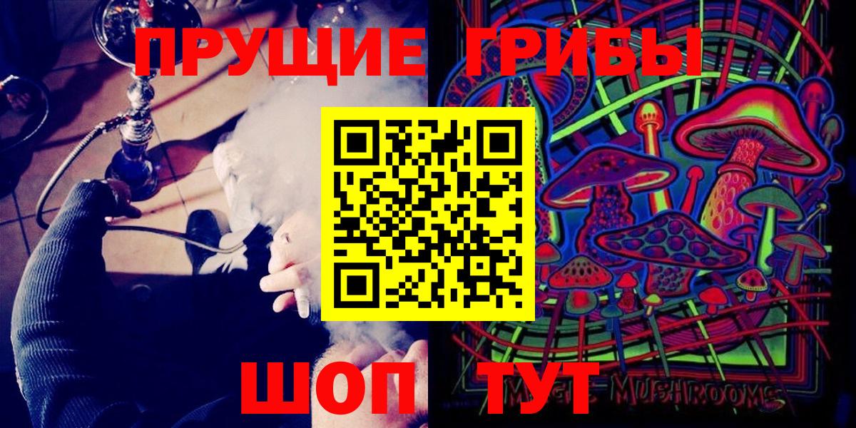Псилоцибиновые грибы Magic Shrooms  Псилоцибиновые грибы Cubensis  Вход с VPN  Новокубанск 